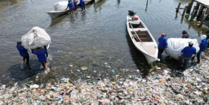 Retiran 213 toneladas de desechos plásticos de las orillas del lago de Maracaibo