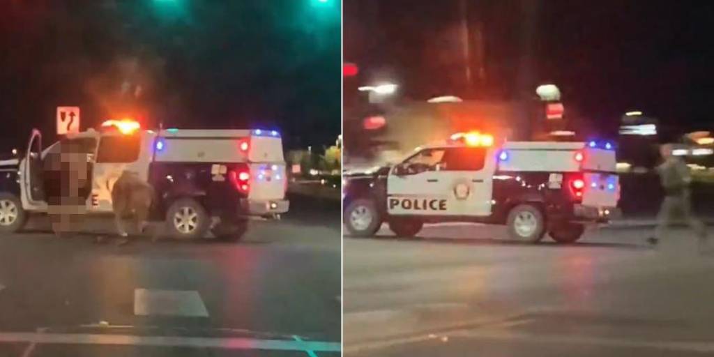¡DE PELÍCULA! Un hombre desnudo robó una patrulla en Las Vegas tras pelearse con un agente (VIDEO)