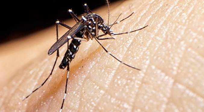 Venezuela desarrolla biocontrolador para contrarrestar proliferación del dengue