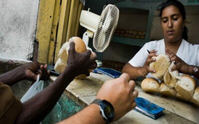 Cuba pide por primera vez ayuda a la dirección del Programa Mundial de Alimentos de la ONU