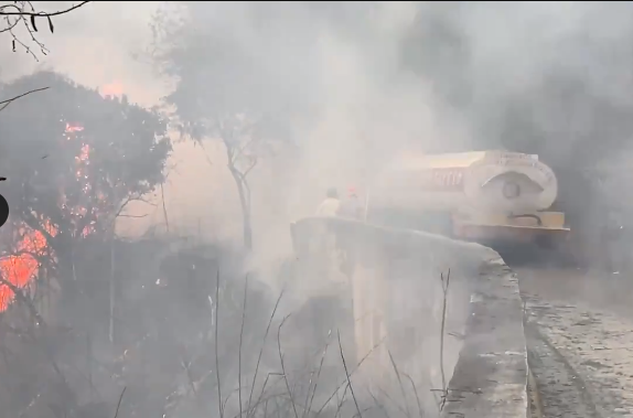 Reportaron incendio en El Ávila: bomberos atendieron la emergencia