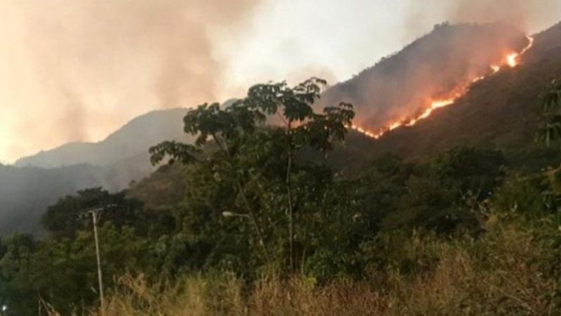 Más de 30 mil incendios forestales se registran en el país entre enero y marzo