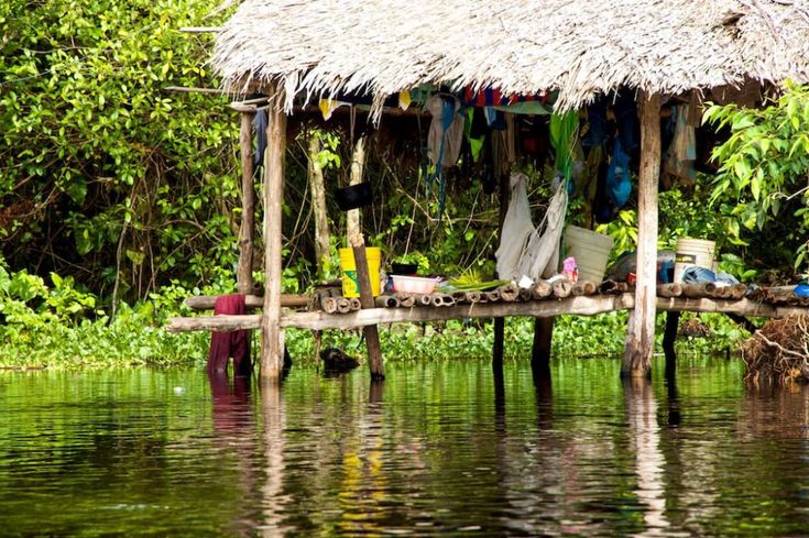 Autoridades de salud investigan la muerte de 12 niños waraos en Delta Amacuro