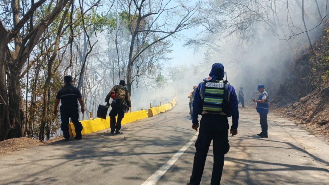 Destrucción de bosques por incendios forestales en Venezuela podría incrementar posibilidad de deslaves