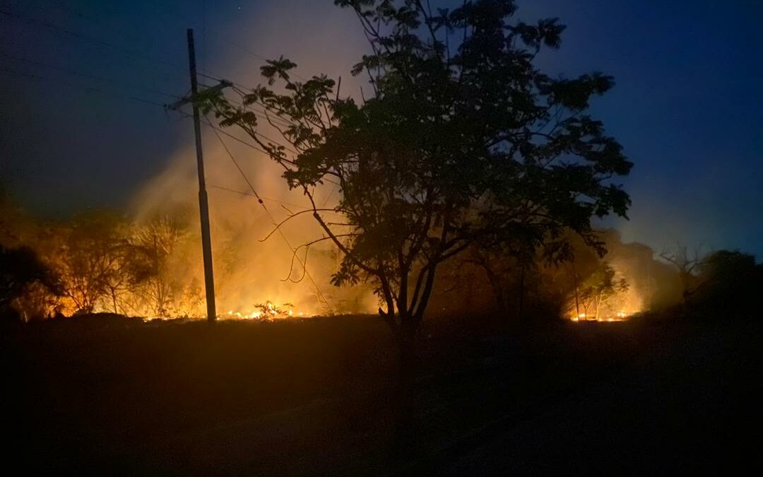 Reportan nuevo incendio forestal en Bachaquero