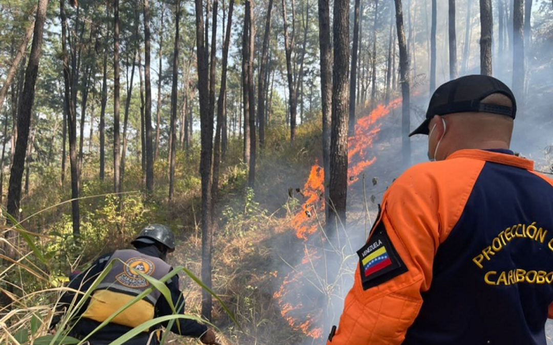 Autoridades en alerta ante incremento de incendios forestales en Venezuela