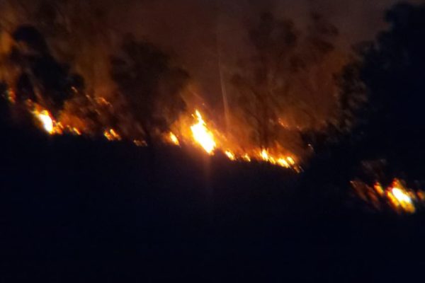 MinEcosocialismo no descarta que incendios en El Ávila fueron “provocados”