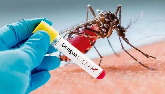 Aumento de casos de dengue encienden las alarmas en Venezuela