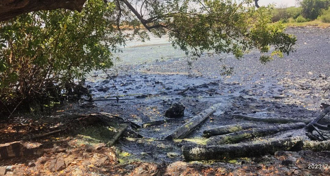 Aseguran que continúan los derrames de petrólero y las aguas residuales en el Lago