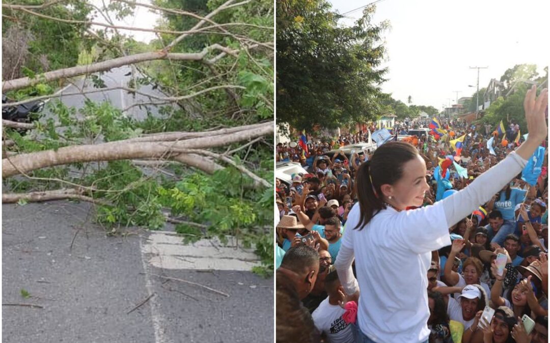 Chavistas intentaron impedir llegada de María Corina Machado a Guárico: «Cortaron varios árboles y pusieron miguelitos»