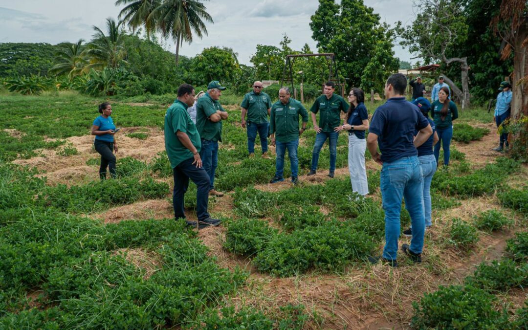 Productores del oeste de Maracaibo reciben implementos técnicos gracias a alianza de la Alcaldía con la FAO