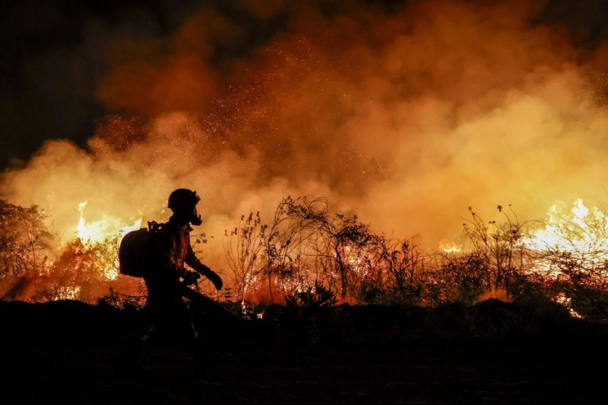 ¡EN LLAMAS! Así se incendia el mayor humedal del mundo en Brasil (FOTOS)