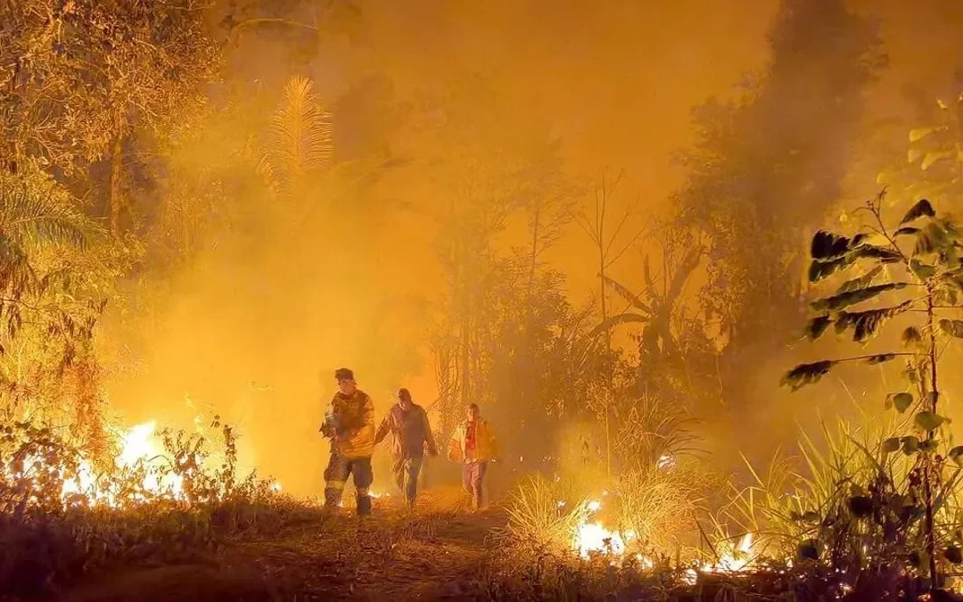 Bolivia declaró «desastre natural» por incendios forestales