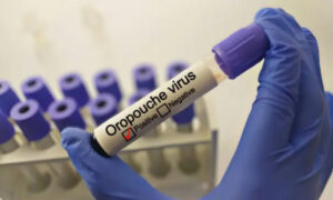Colegio de Médicos exige medidas preventivas contra el virus Oropouche